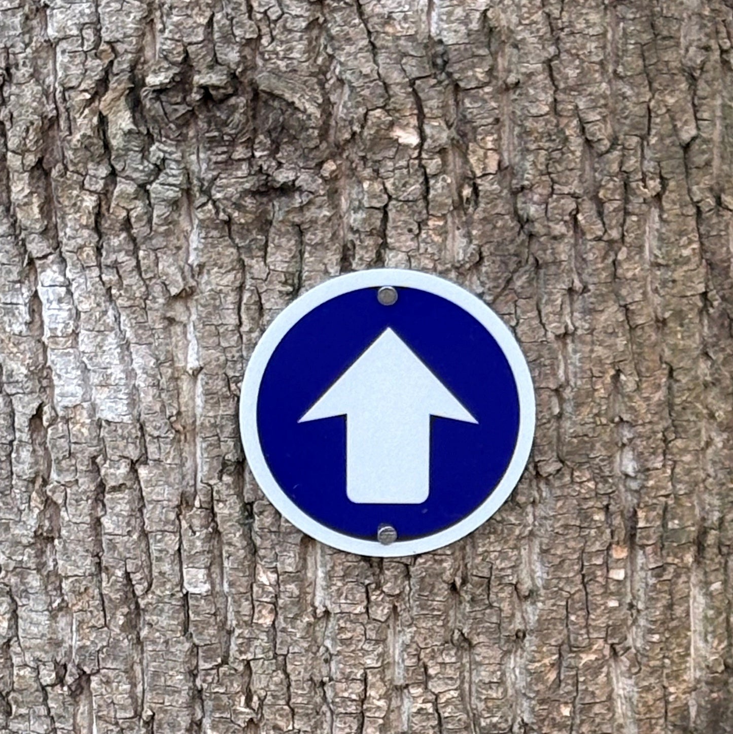 Reflective Aluminum Trail Markers, 24pack, Blue