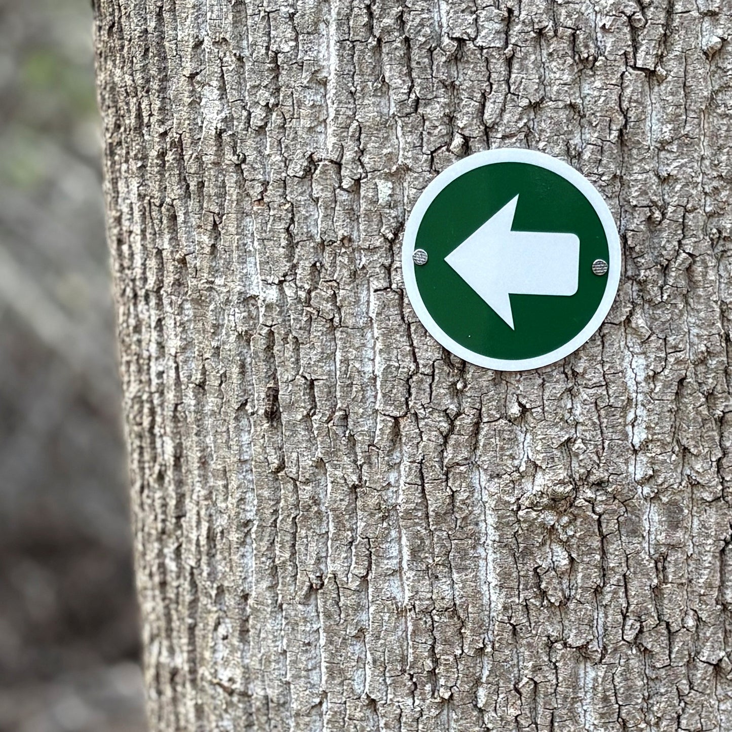 Reflective Aluminum Trail Markers, 24pack, Green